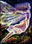 ANGEL-Taurus